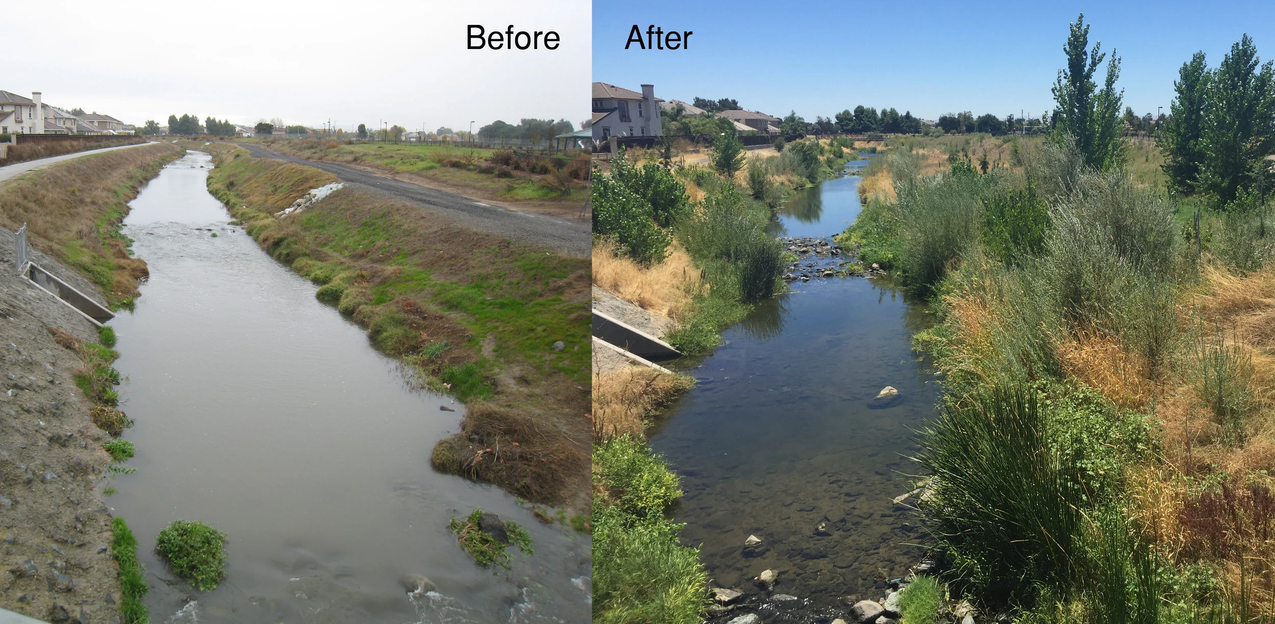 Marsh Creek Restoration at Creekside Park, City of Oakley