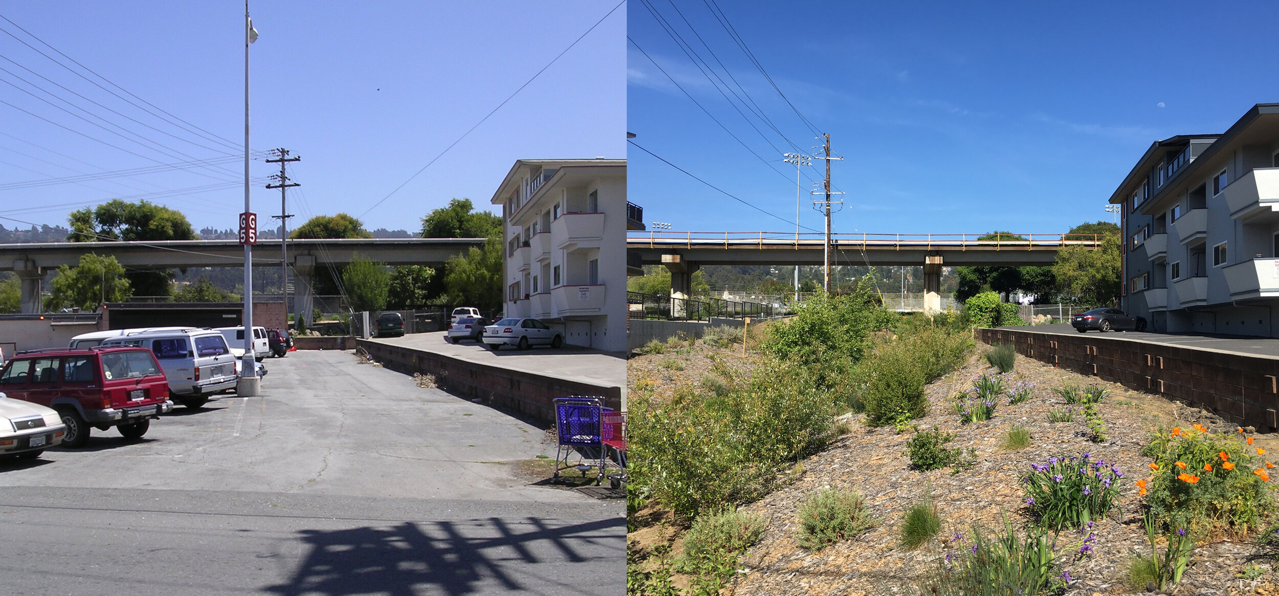 Cerrito Creek Daylighting, El Cerrito