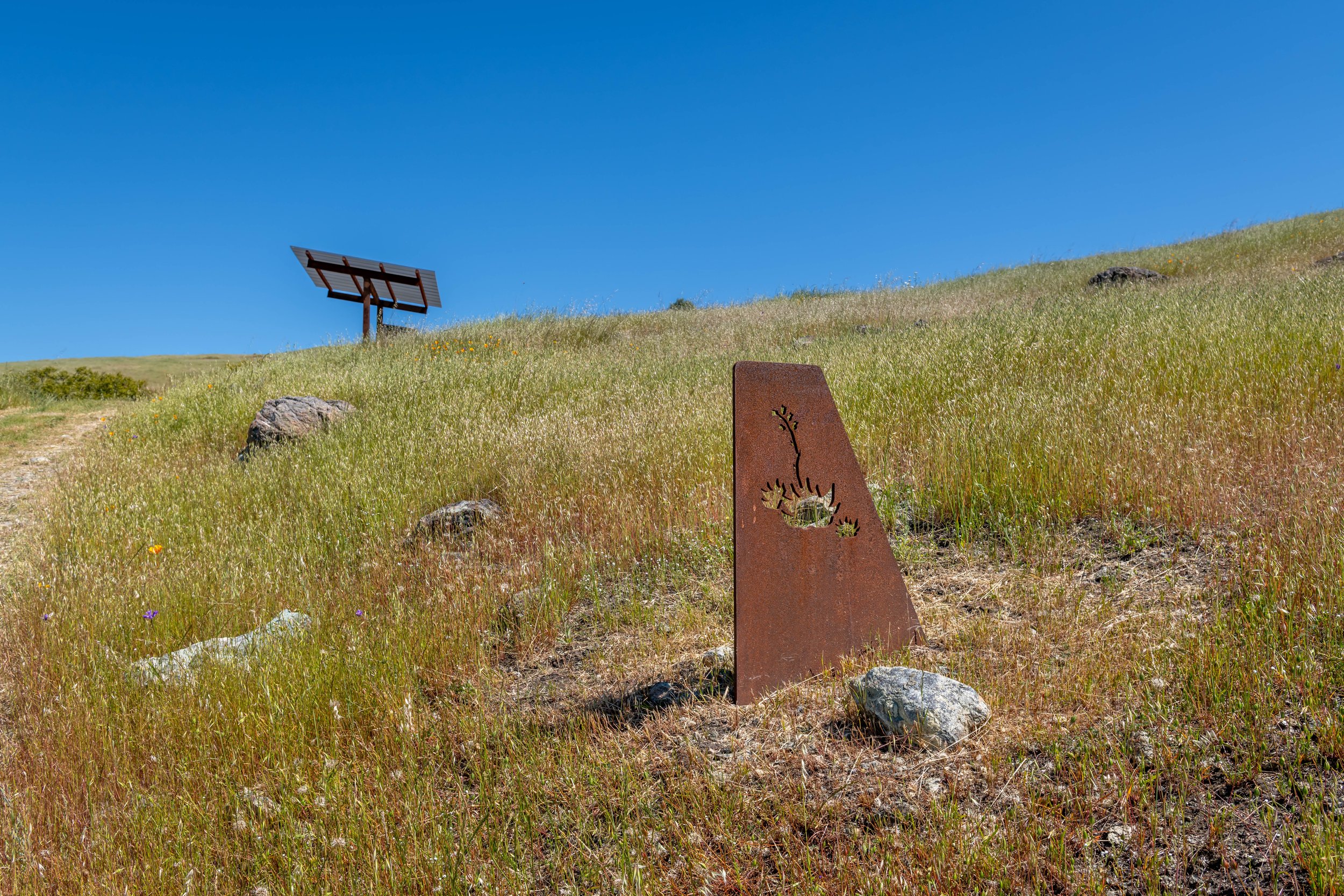  Máyyan ‘Ooyákma – Coyote Ridge Open Space Preserve, Santa Clara Open Space Authority (photo: Chris LaBasco) 