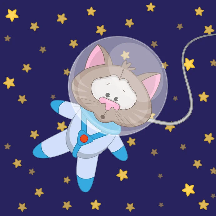 chat espace.jpg