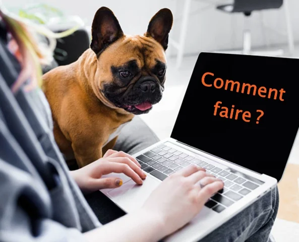 Merci de bien suivre ces modalités ! Si je n'ai pas la photo, les renseignements demandés, le numéro de téléphone et/ou le règlement, je ne serai pas en mesure d'honorer le rendez-vous téléphonique.