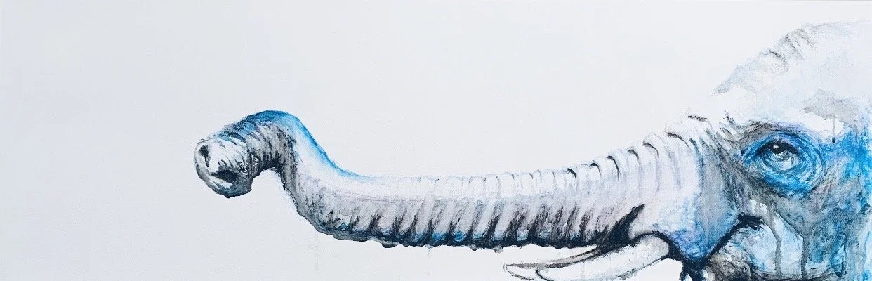 Elephant Blue.jpeg