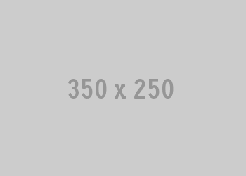 350x250.gif