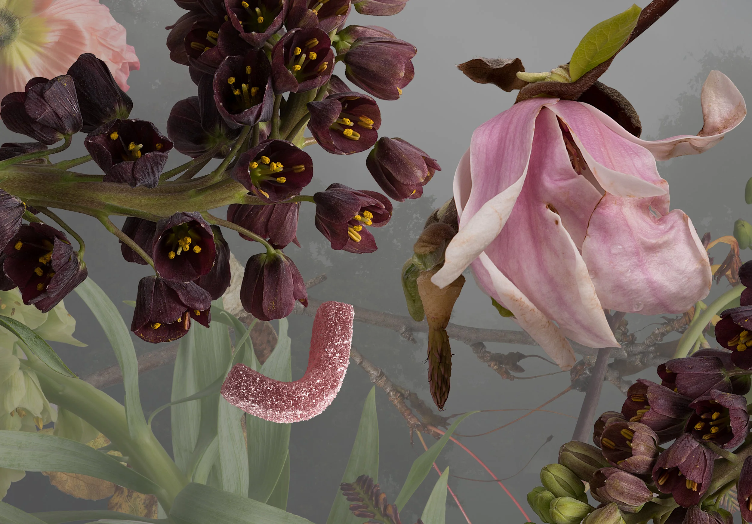Invasive Apathy (detail)