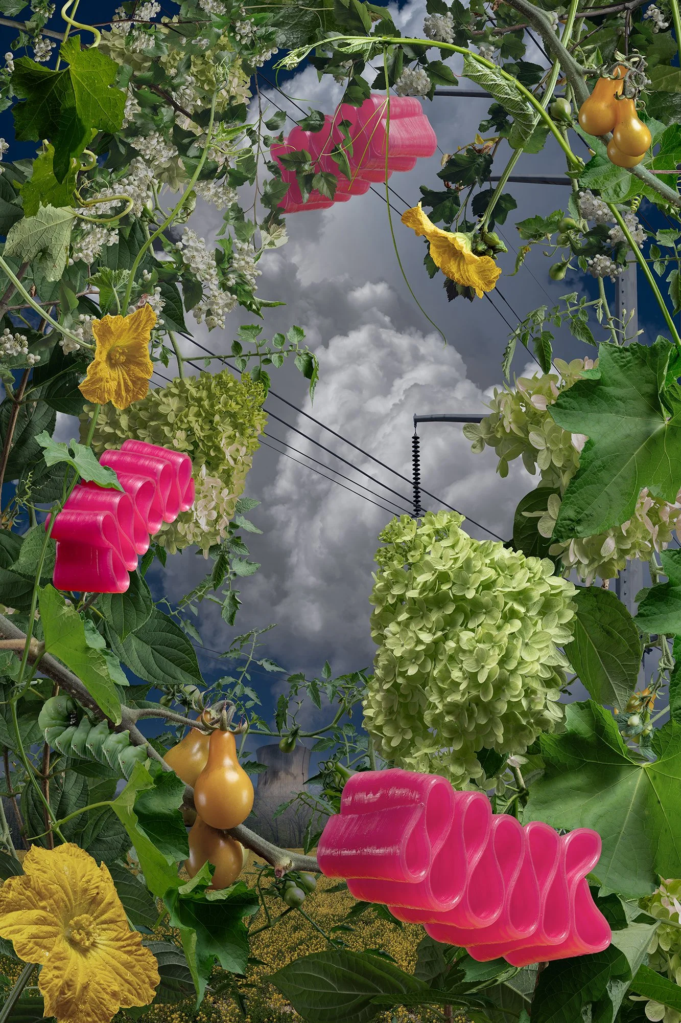 Bubblegum Beauty, 2026, Photo Assembly, 48x72, 40x60, 30x45, 24x36