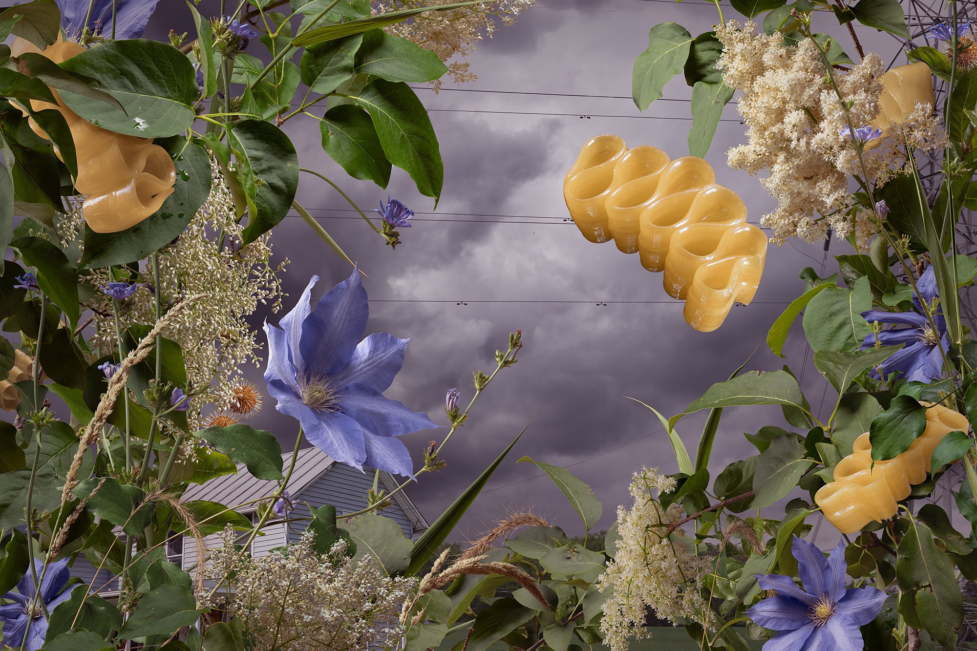 Rural Delusions, 2026, Photo Assemblages, 48x72, 40x60, 30x45, 24x36