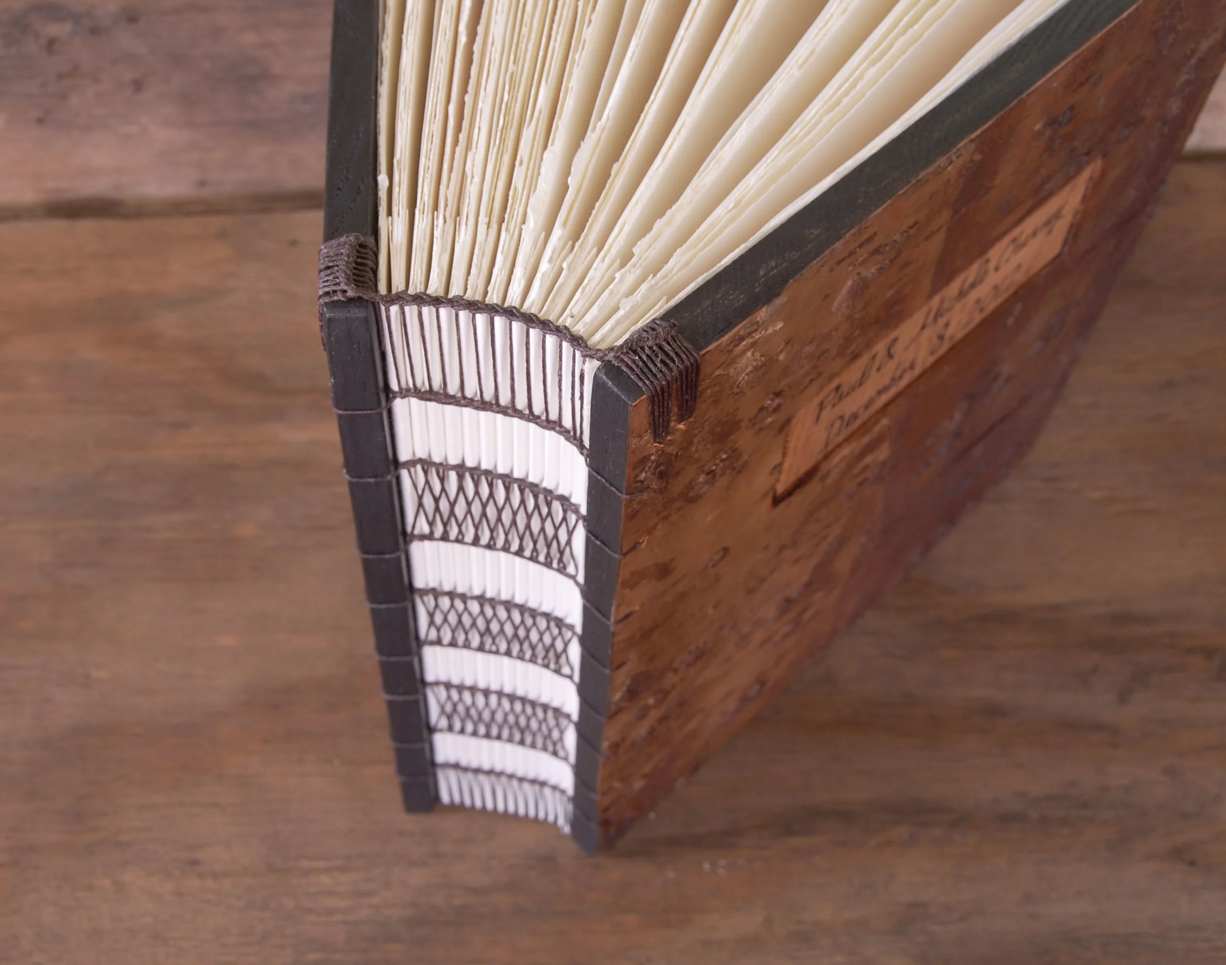 DSC_0058_edited-1 copy 2.jpg