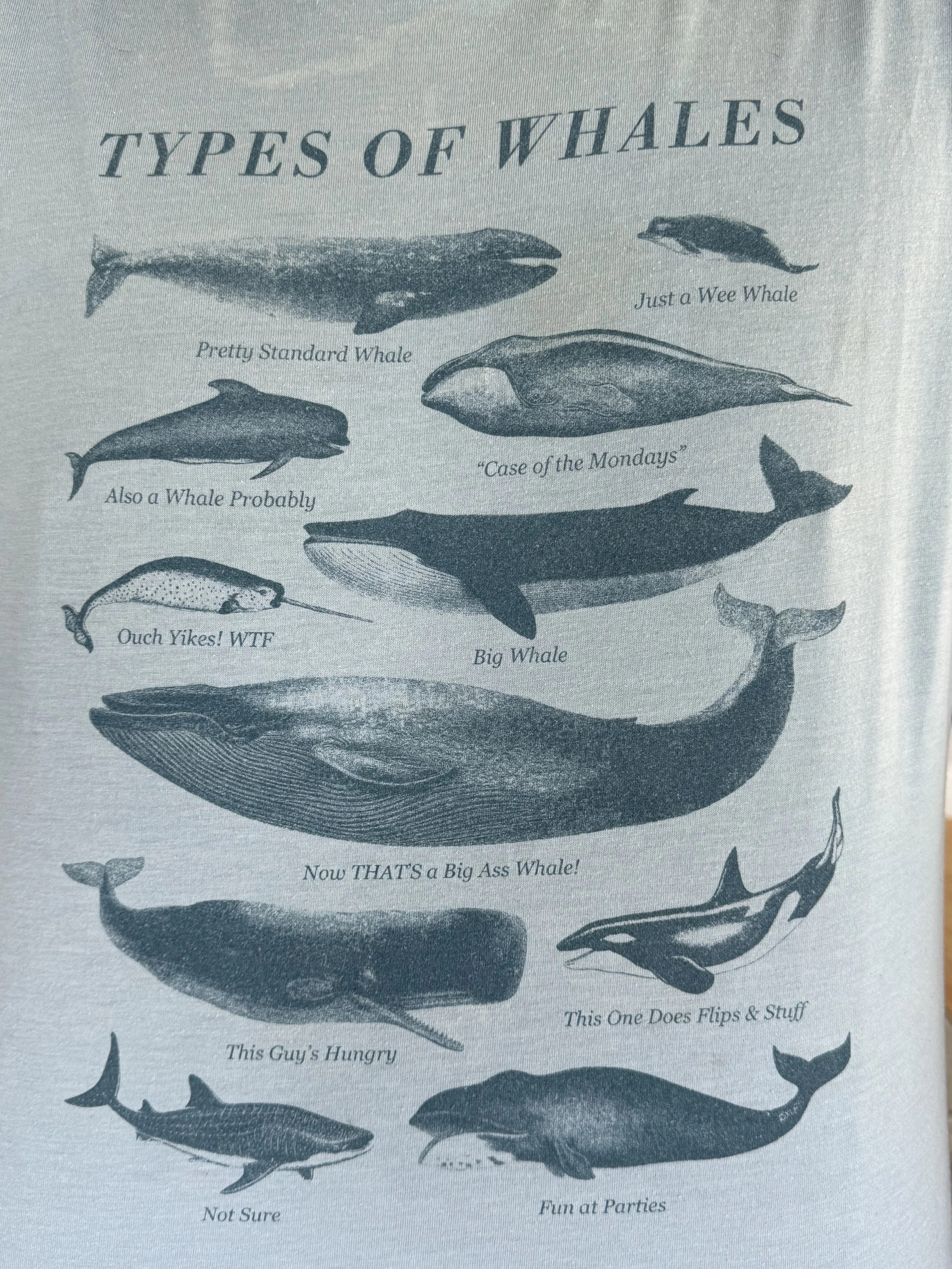 IMG_5909.jpeg