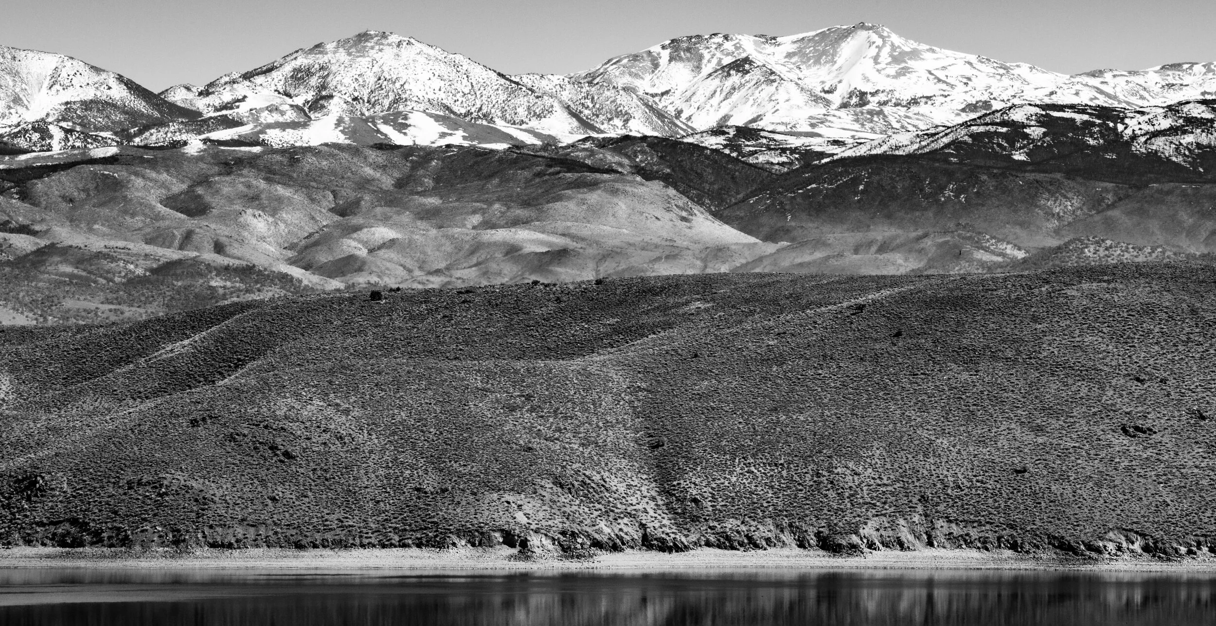 _DSC3369.jpg