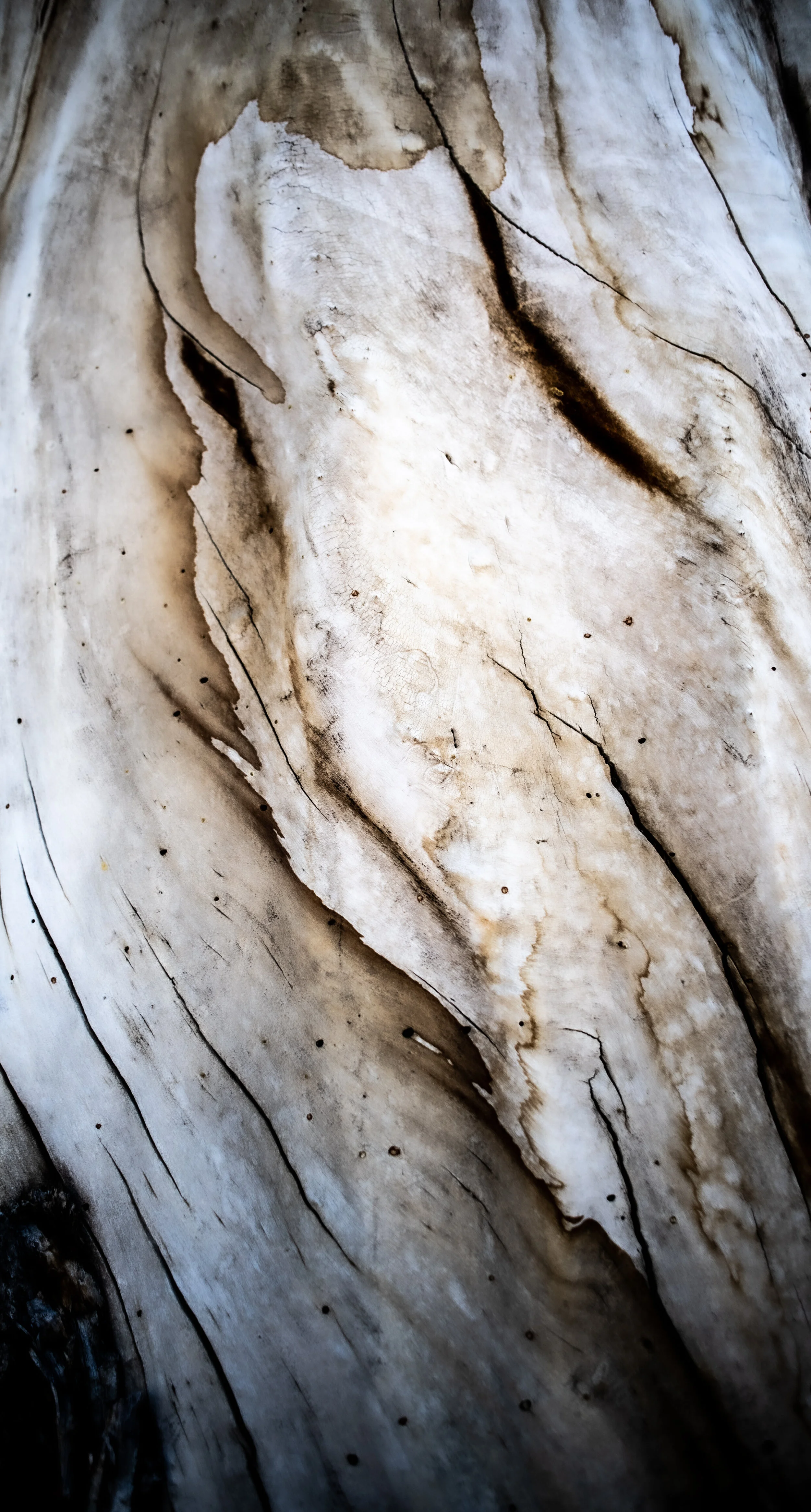 _DSC3386.jpg