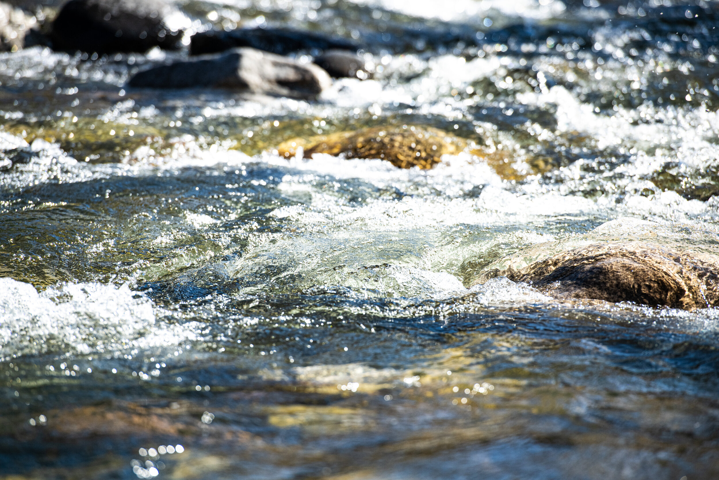 _DSC3405.jpg