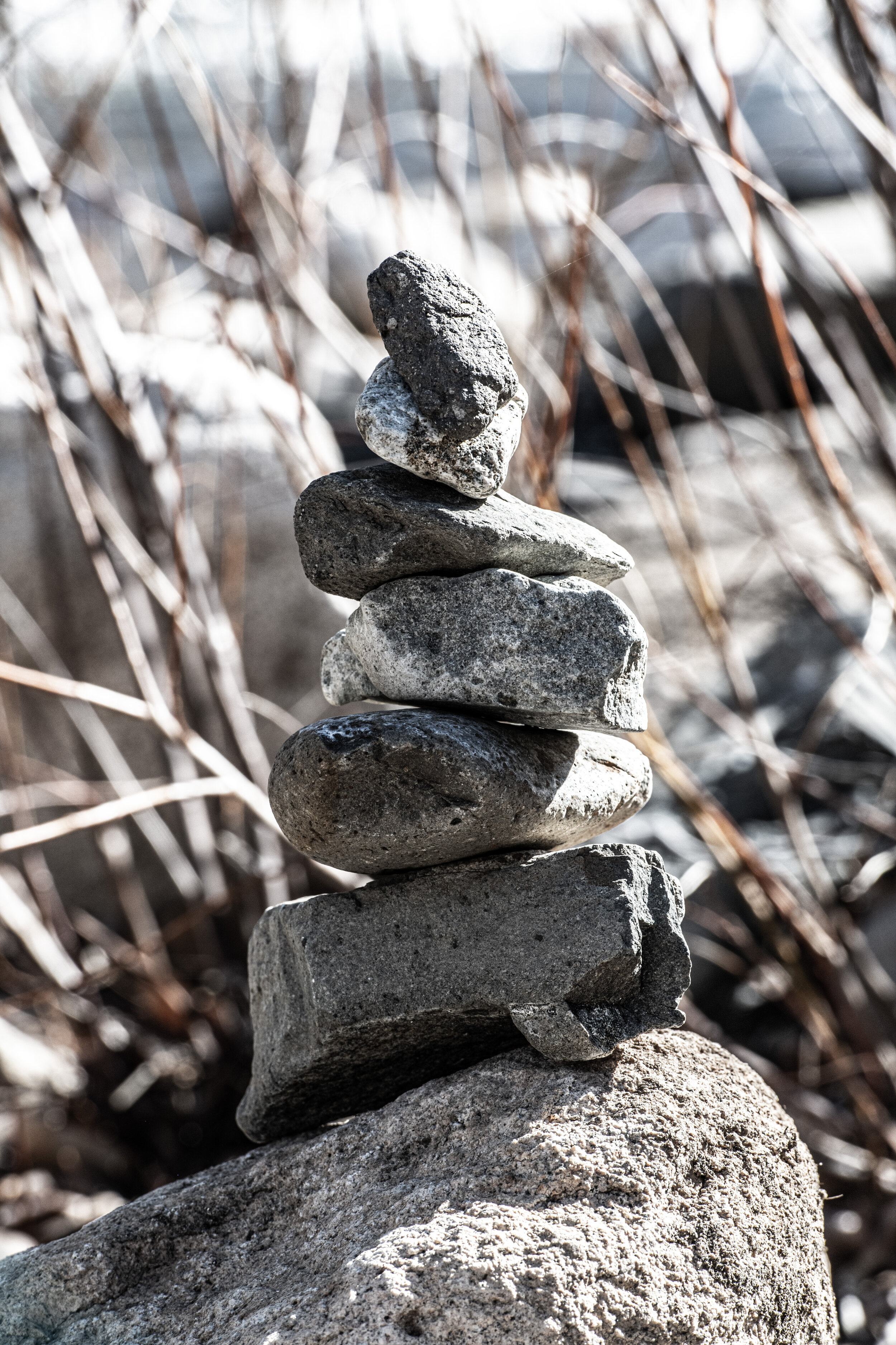 _DSC3416.jpg