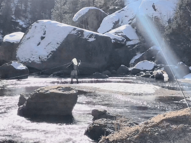 IMG_1587.gif