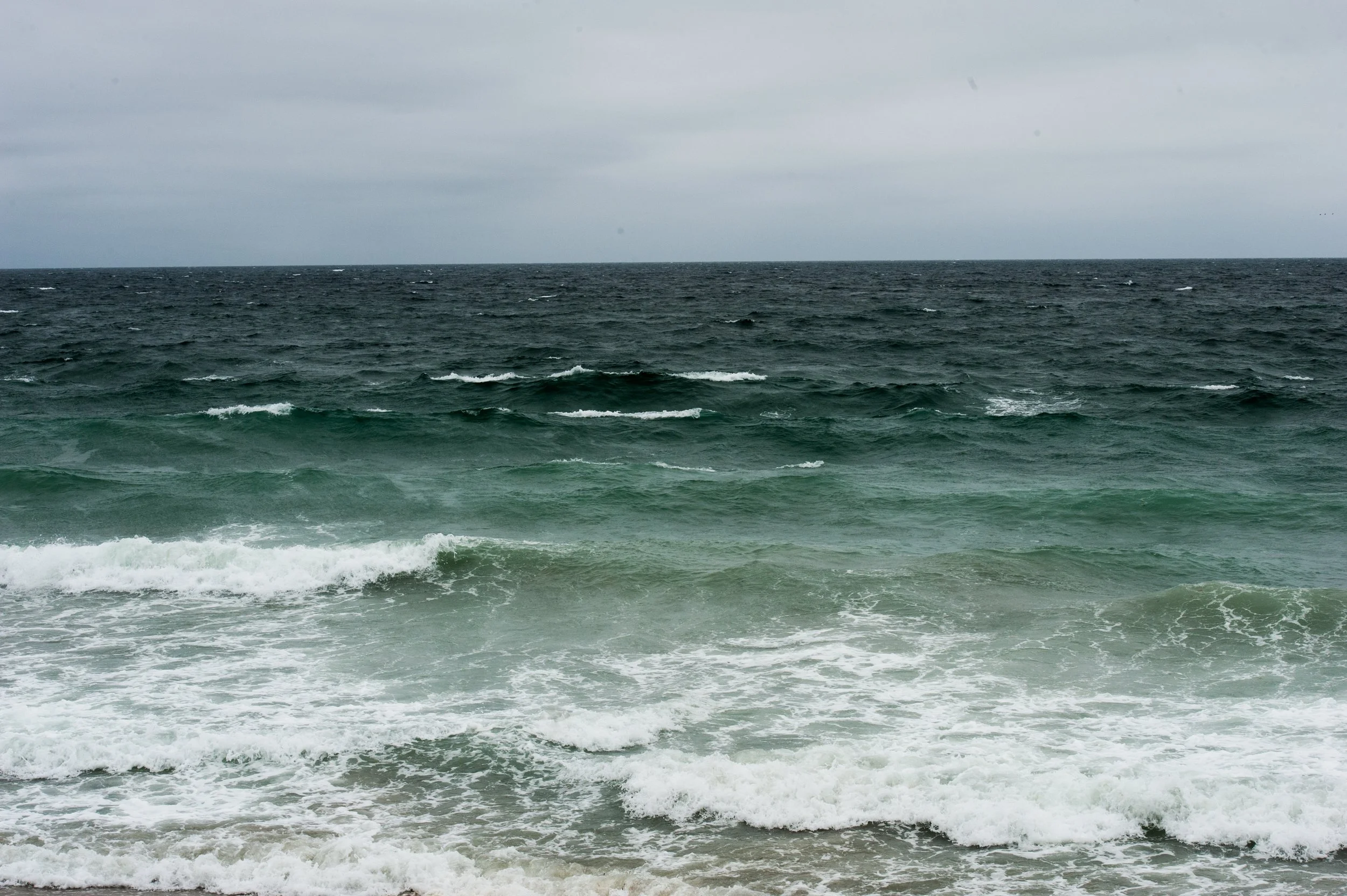 _DSC7839.jpg