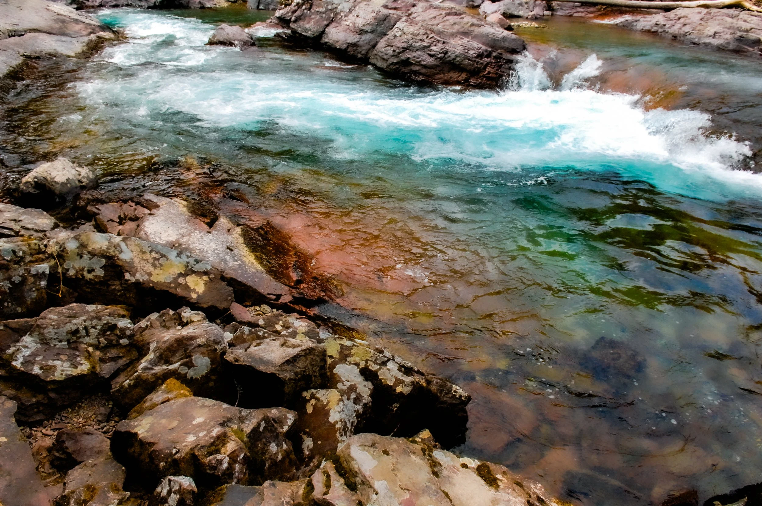 DSC_0184.jpg