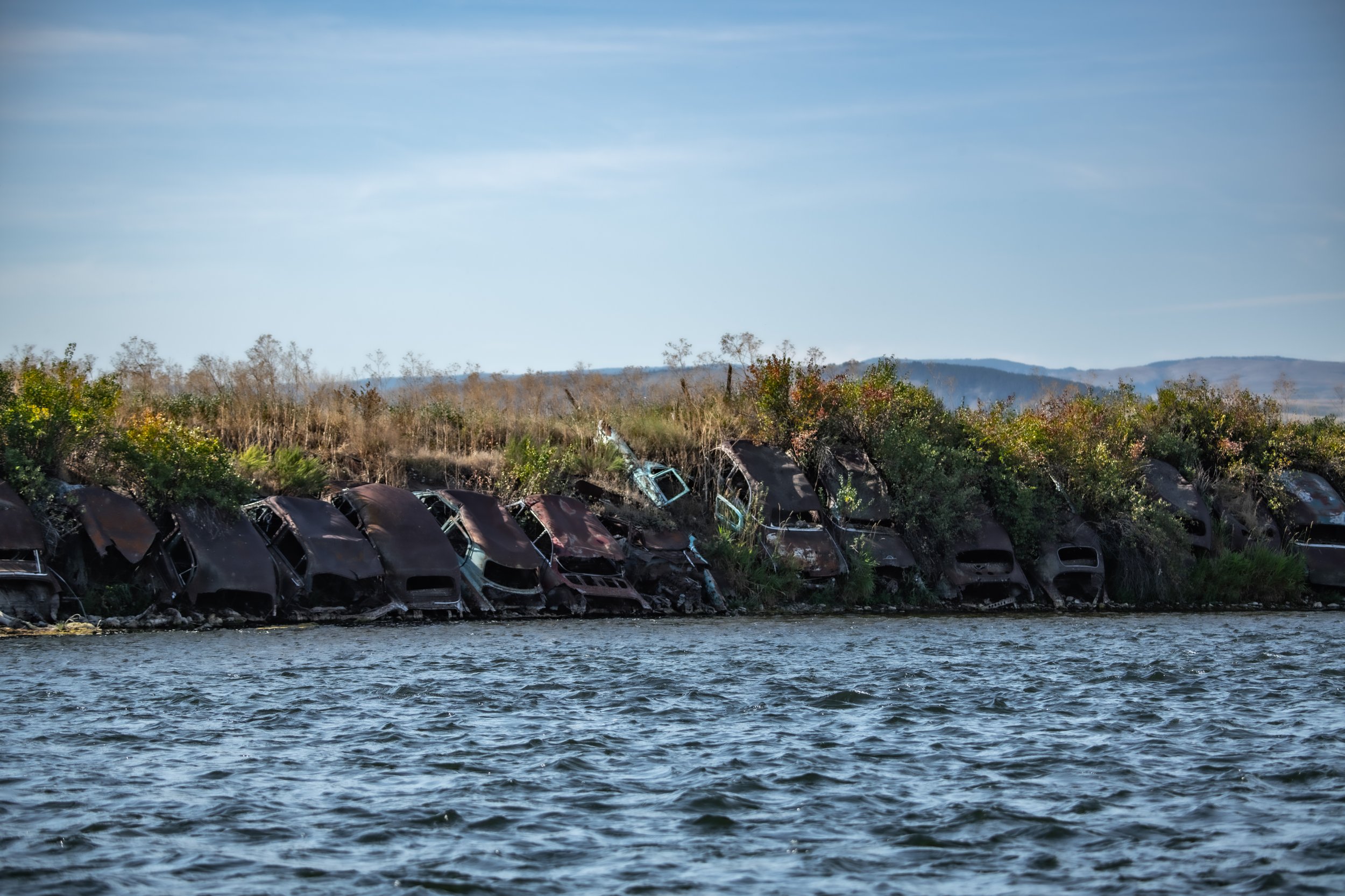 _DSC8484.jpg