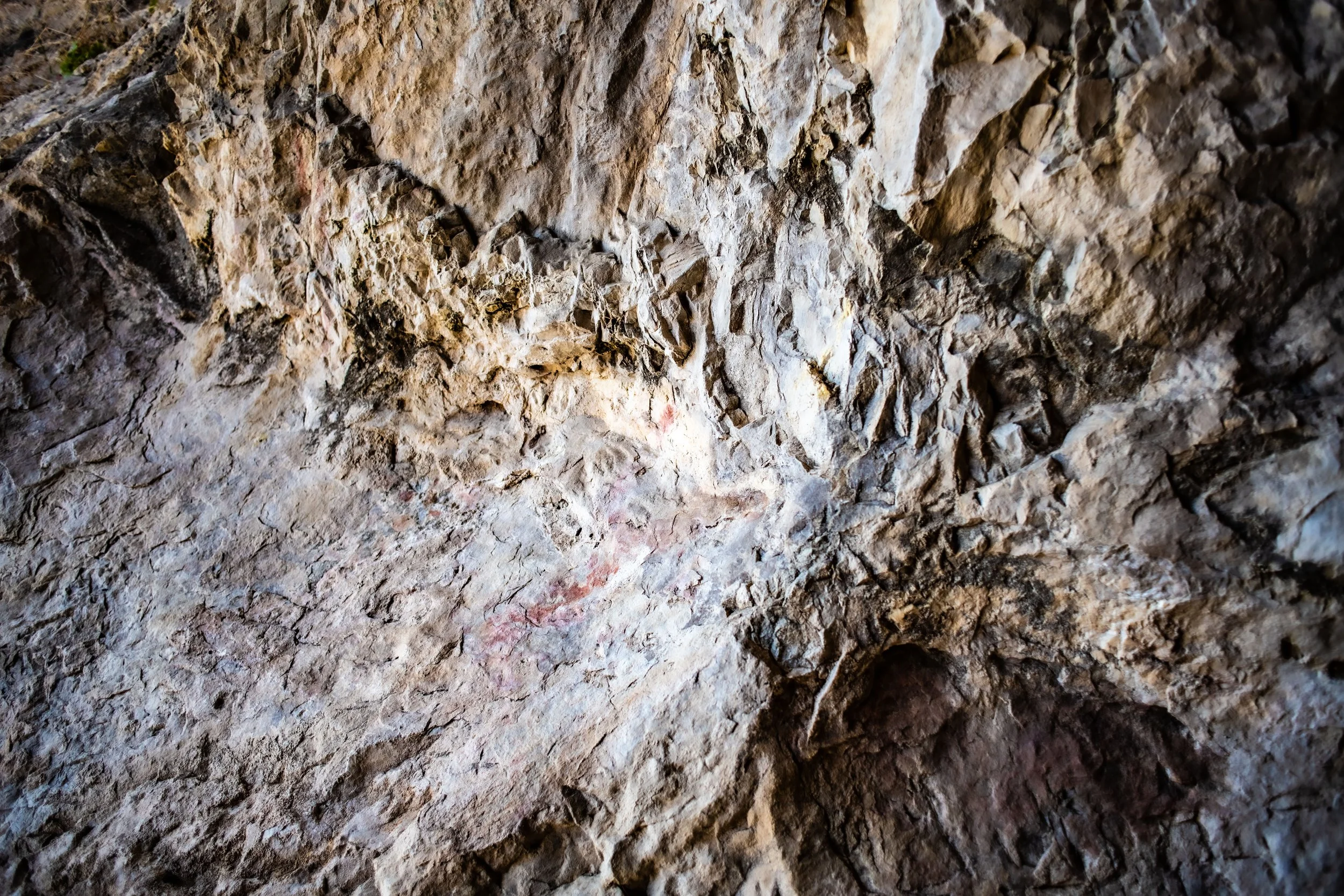 _DSC0186.jpg