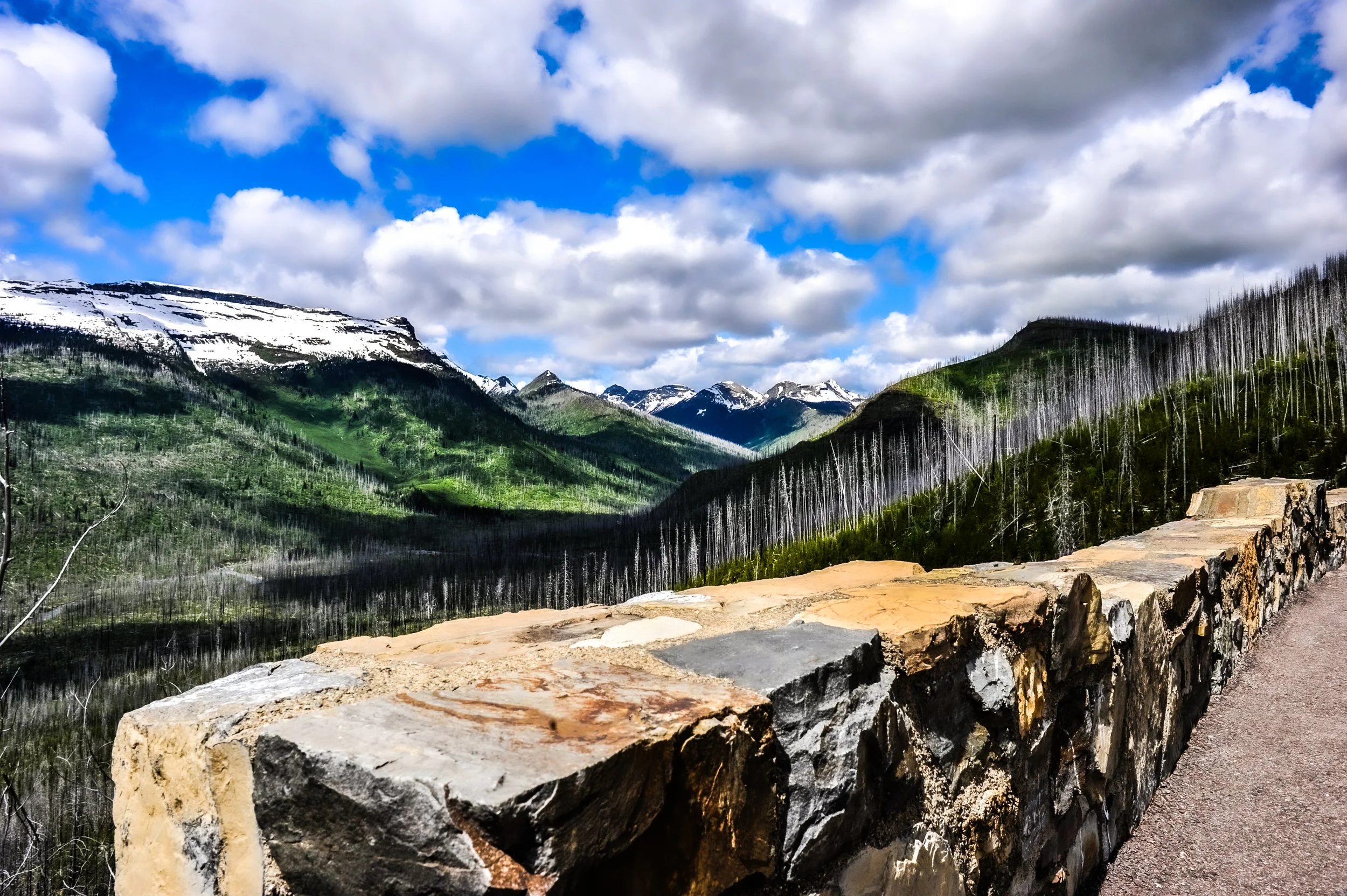 _DSC2163.jpg