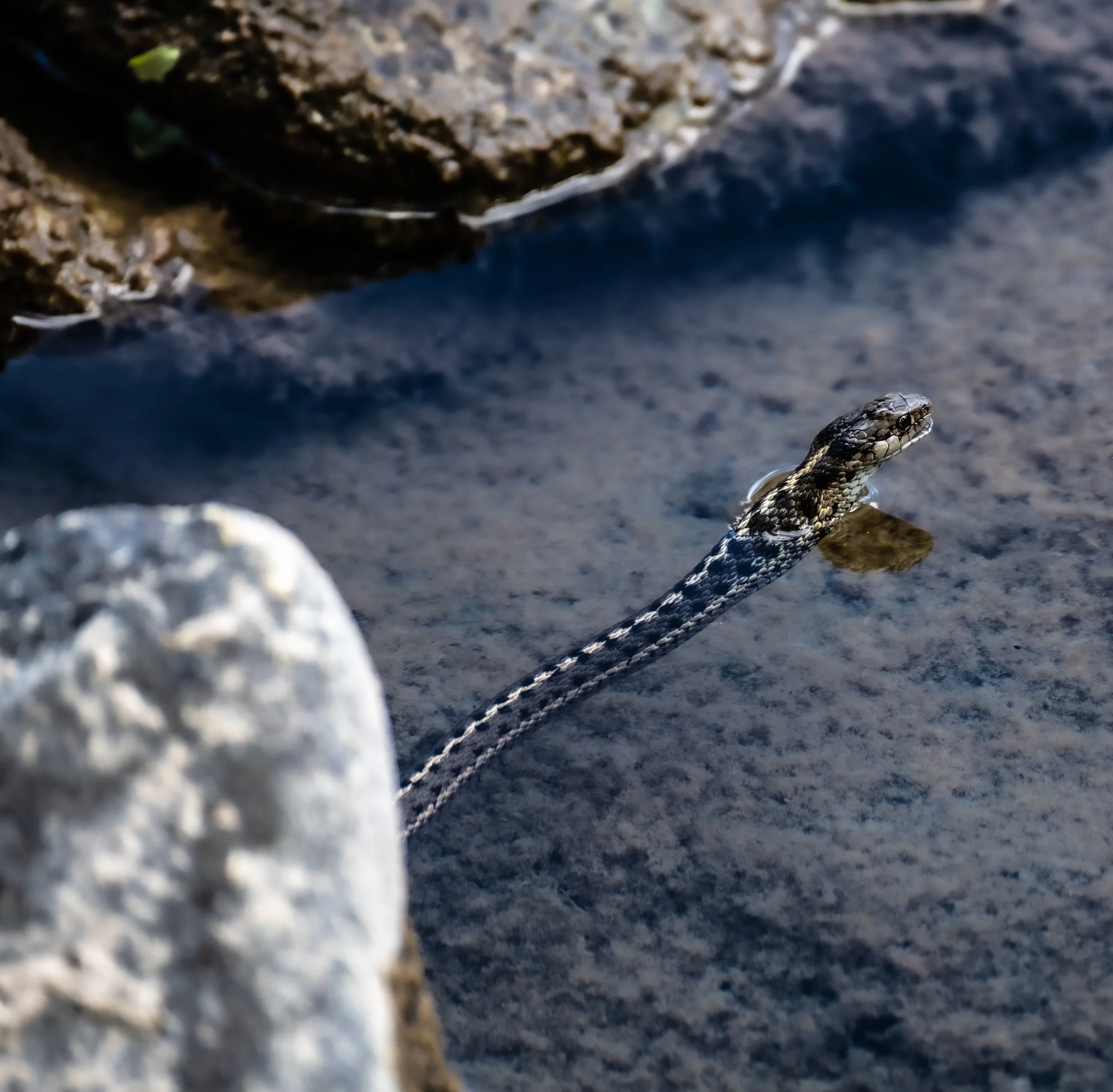 _DSC9638.jpg