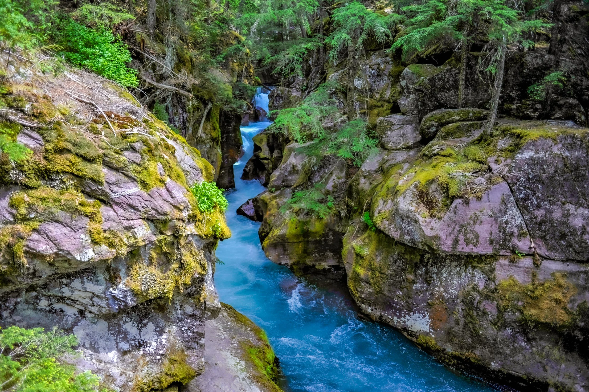 _DSC2259.jpg