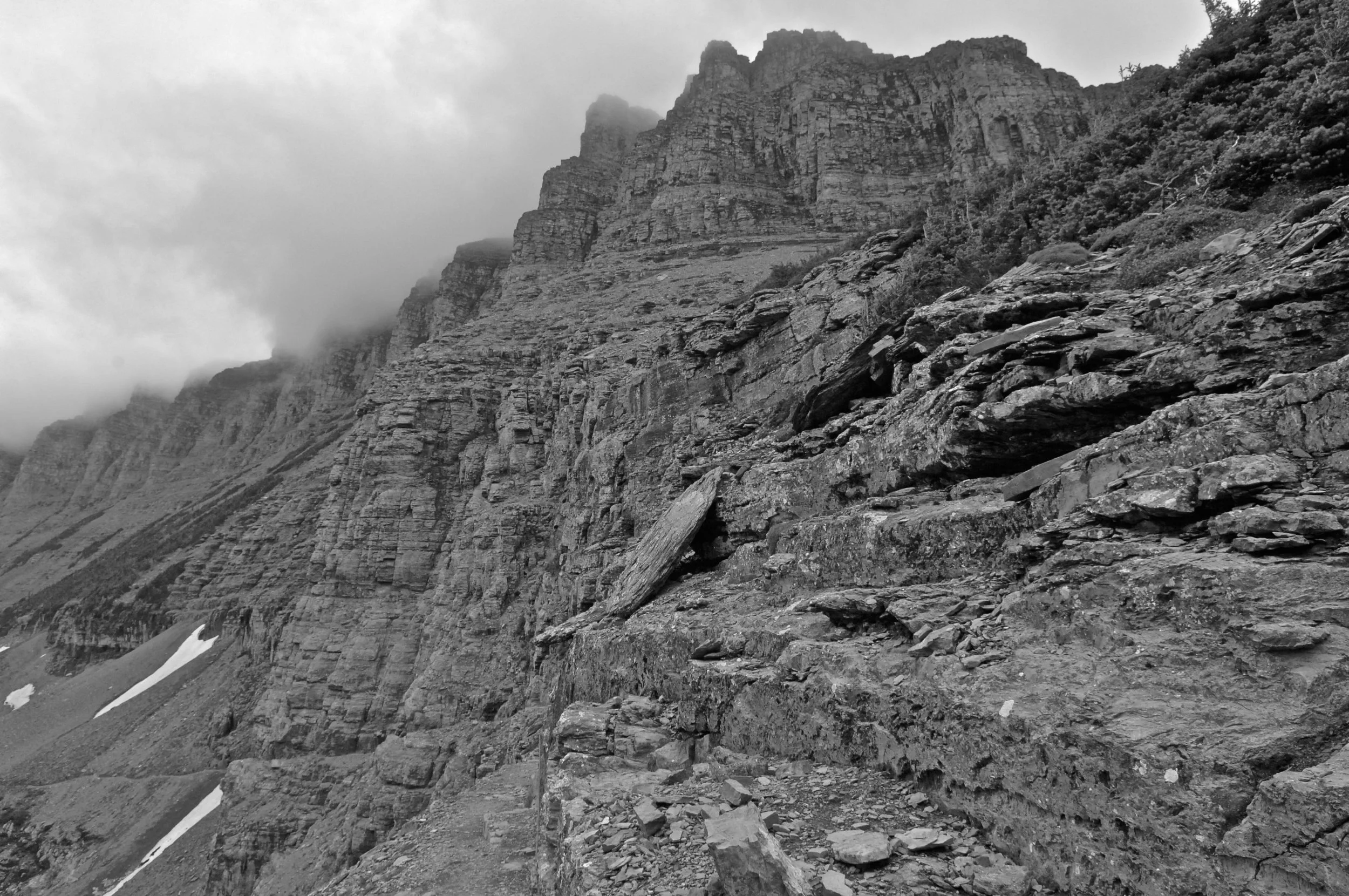 DSC_0138.jpg