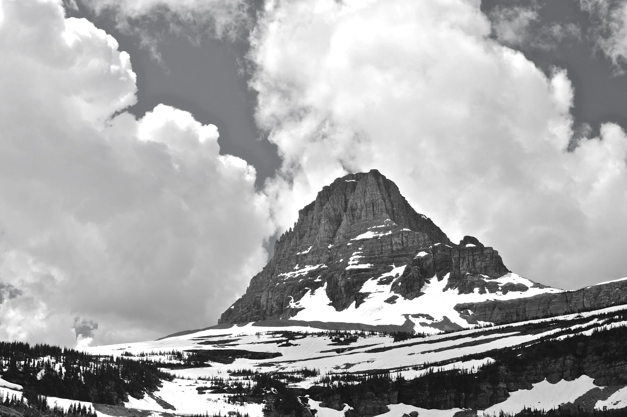 _DSC2232.jpg