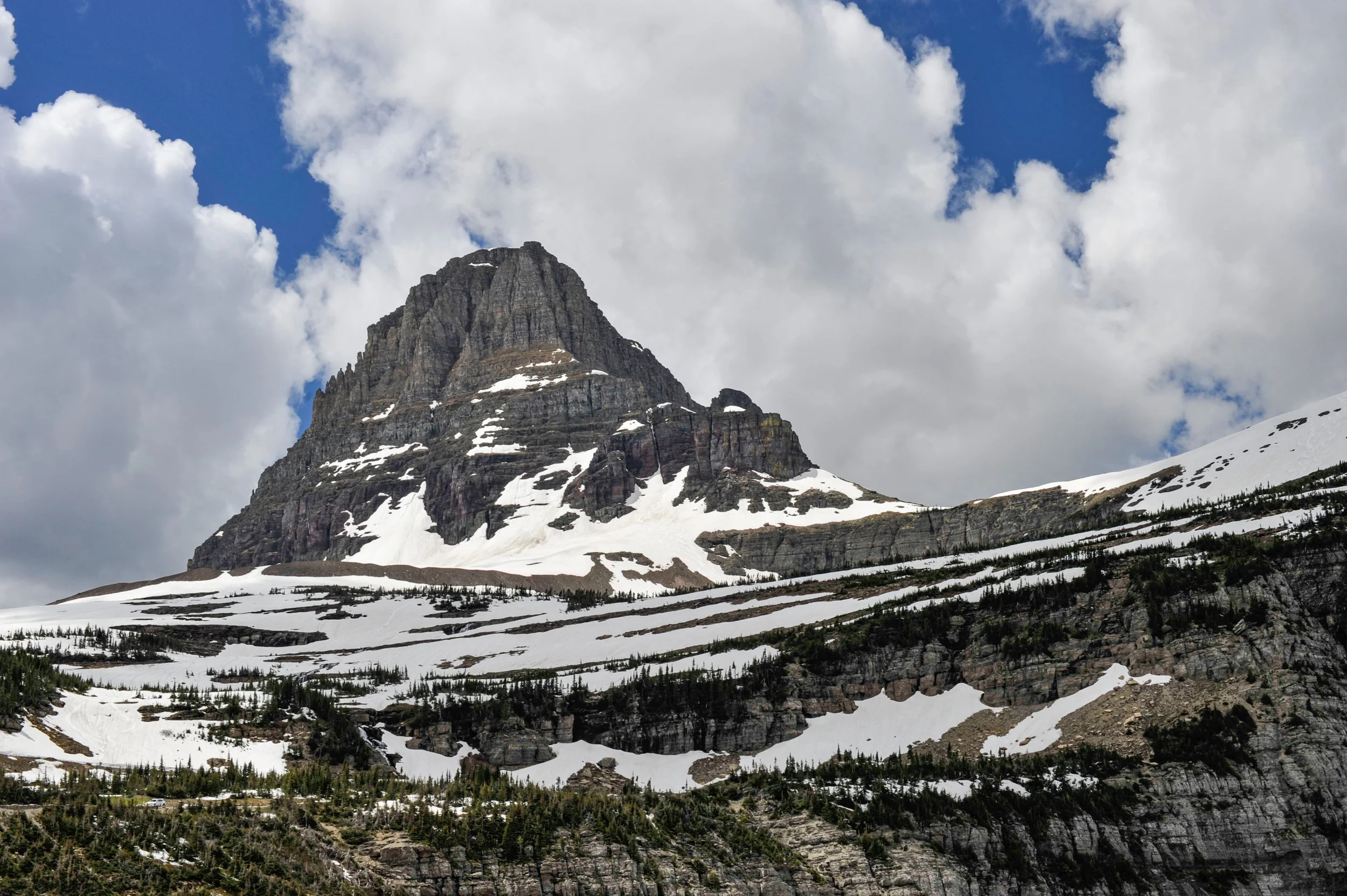 _DSC2231.jpg