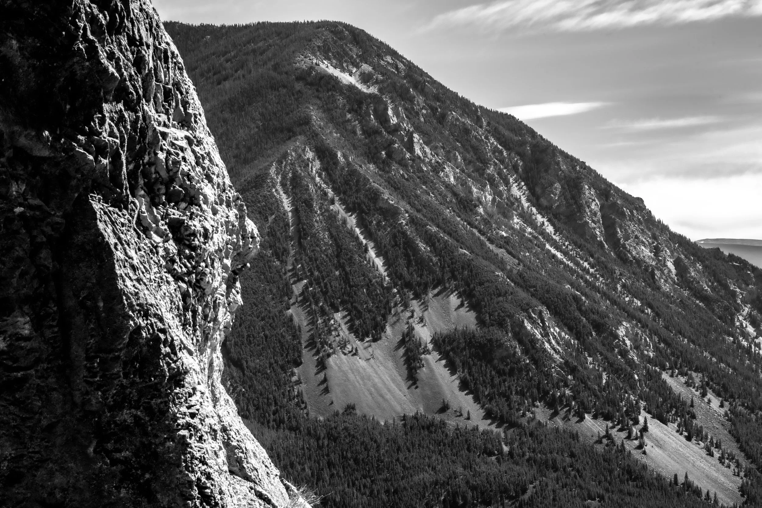 _DSC0255.jpg