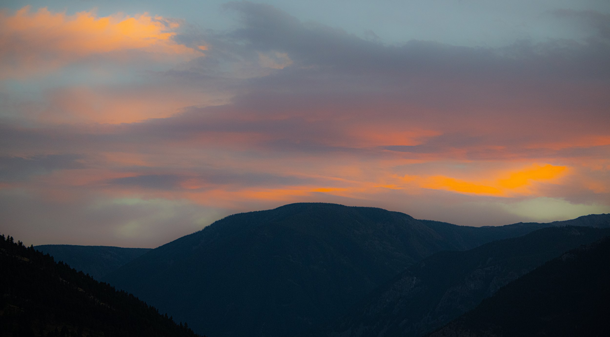 _DSC0303.jpg