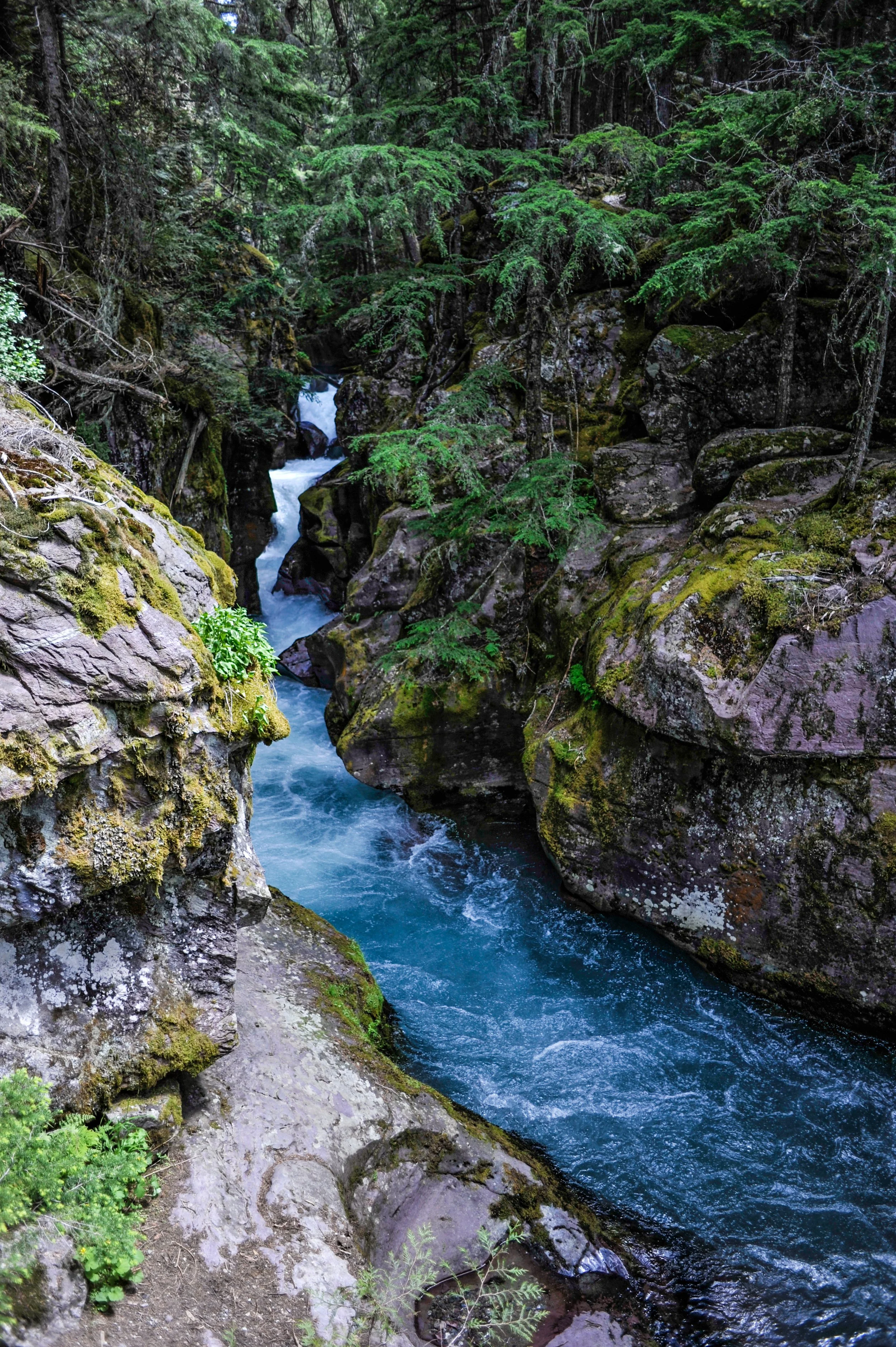 _DSC2264.jpg