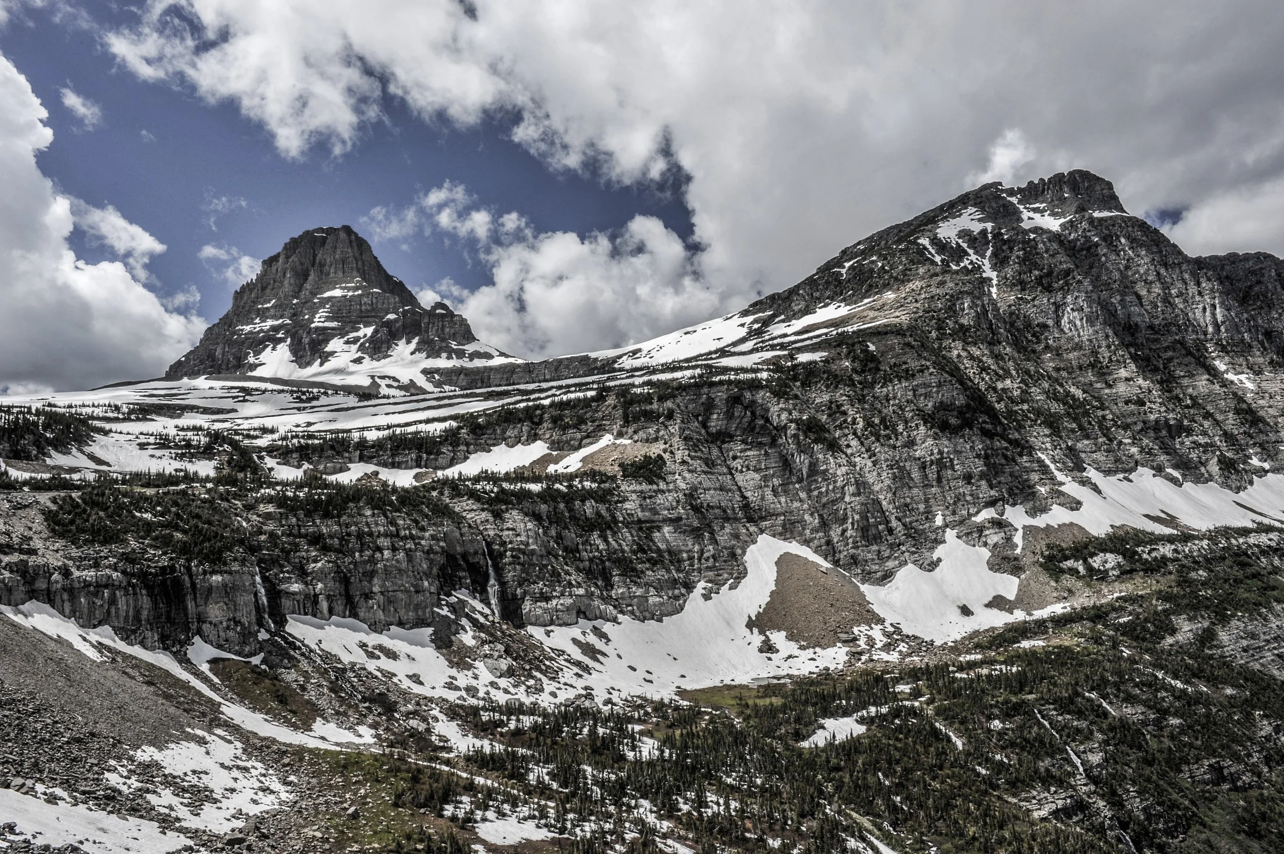 _DSC2230.jpg