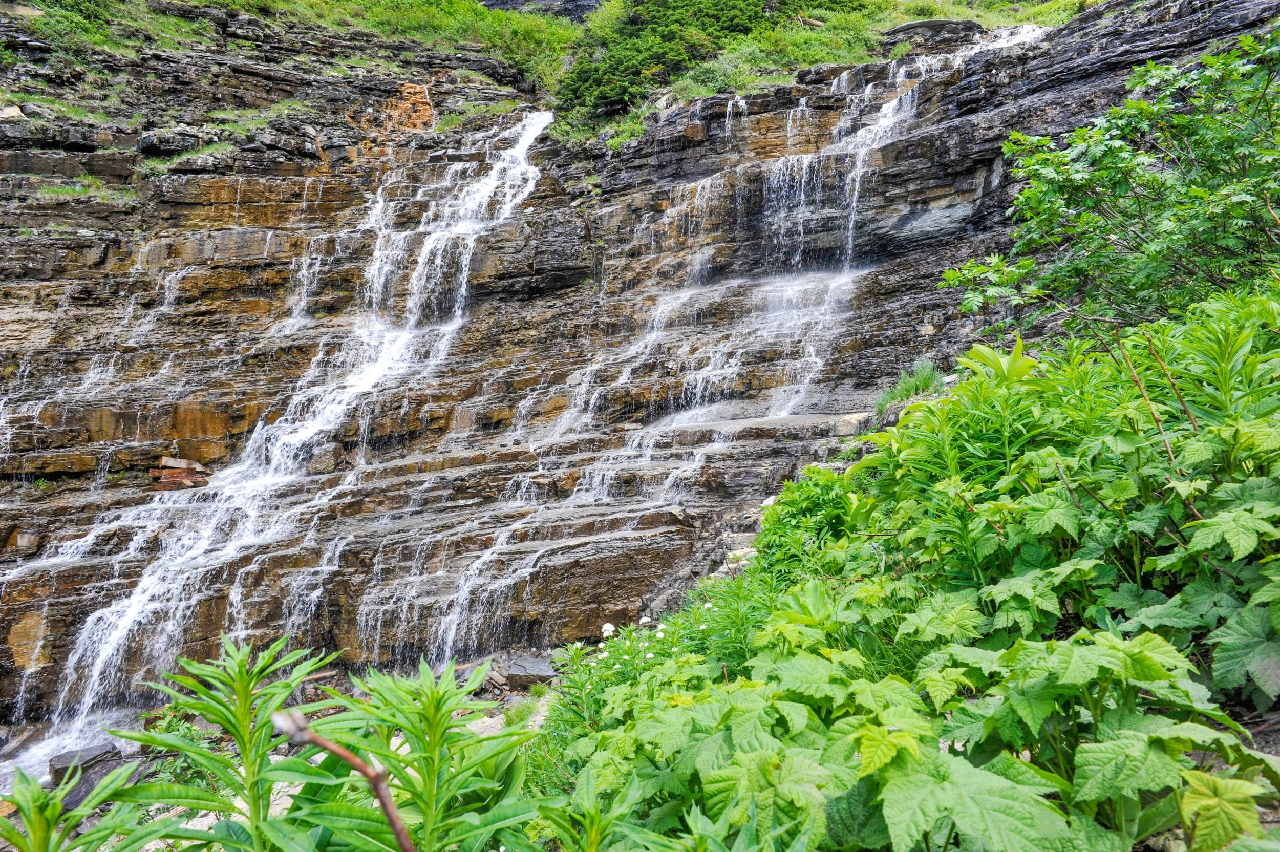 _DSC2188.jpg