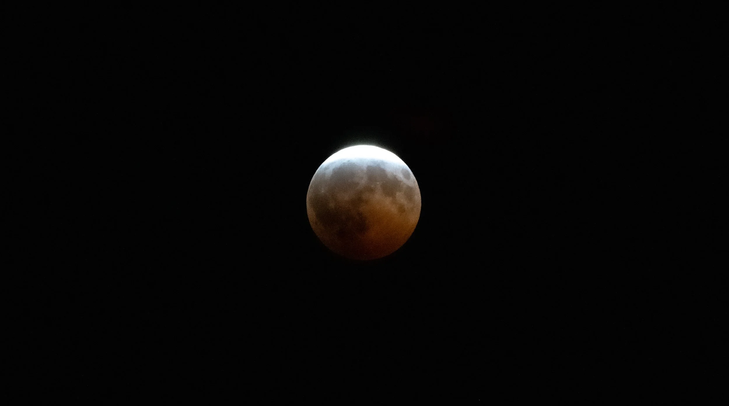 _DSC8639.jpg