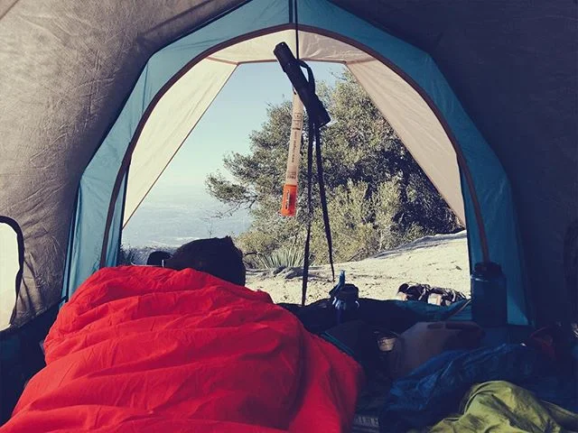#fromundertheawning
