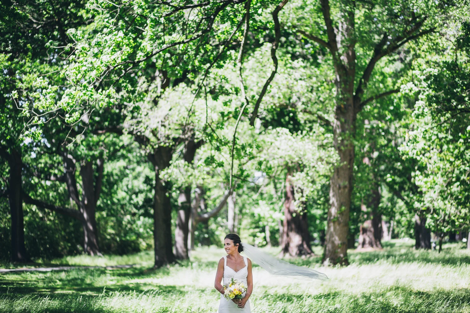 Trents Vineyard Wedding Photographer
