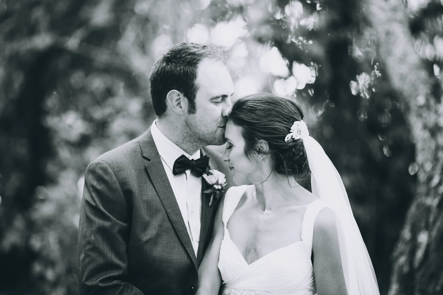Trents Vineyard Wedding Photographer