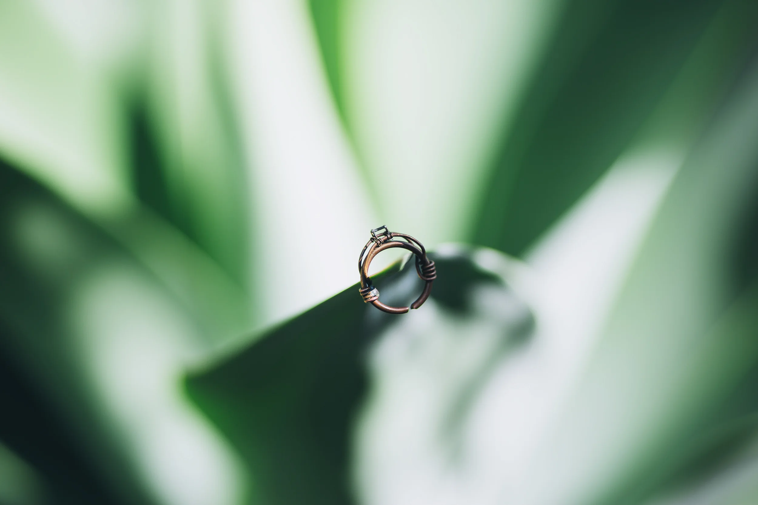 Copthorne Hokianga Wedding - New Zealand Wedding Photographer