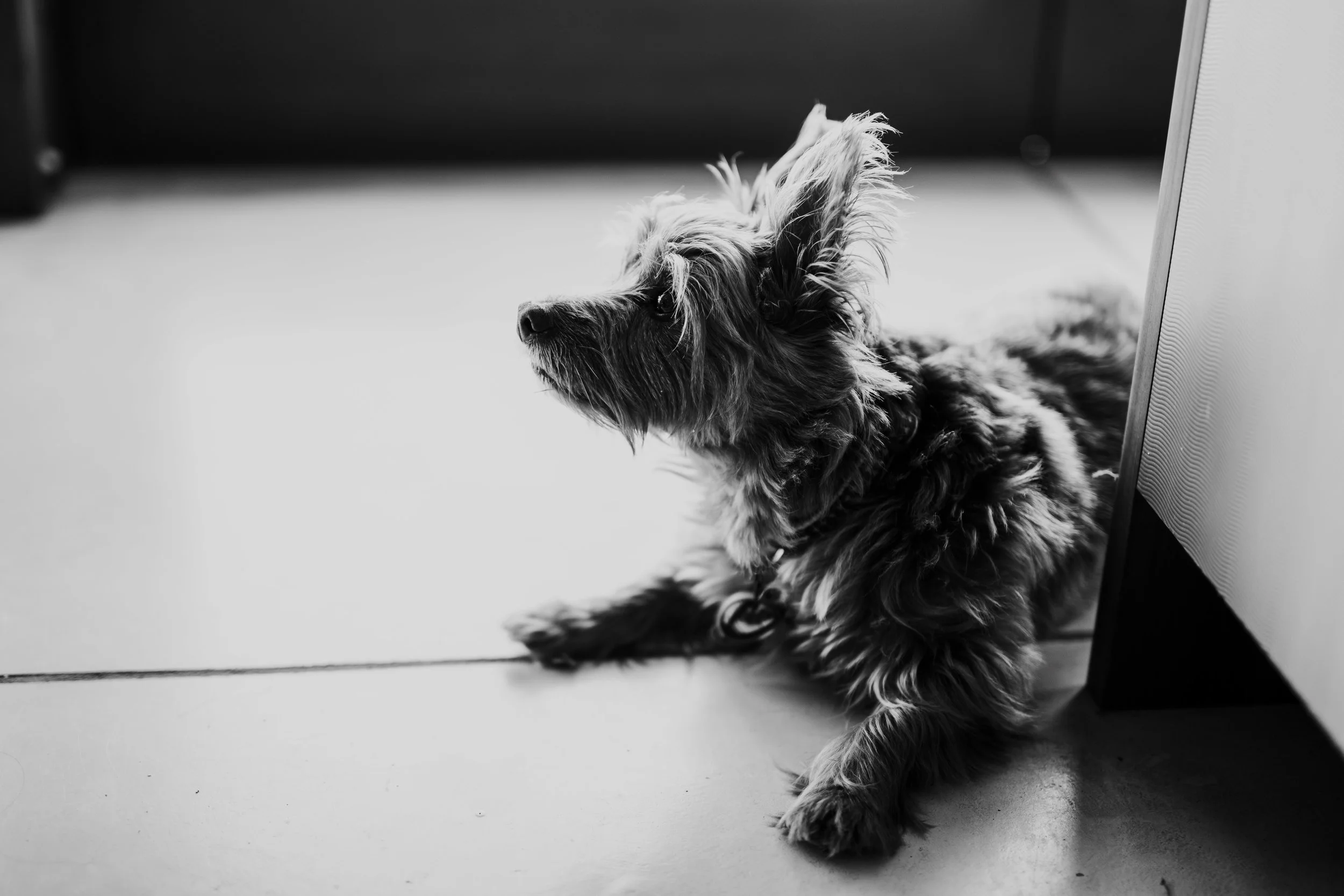 K&JMarried-Monochrome-125.jpg