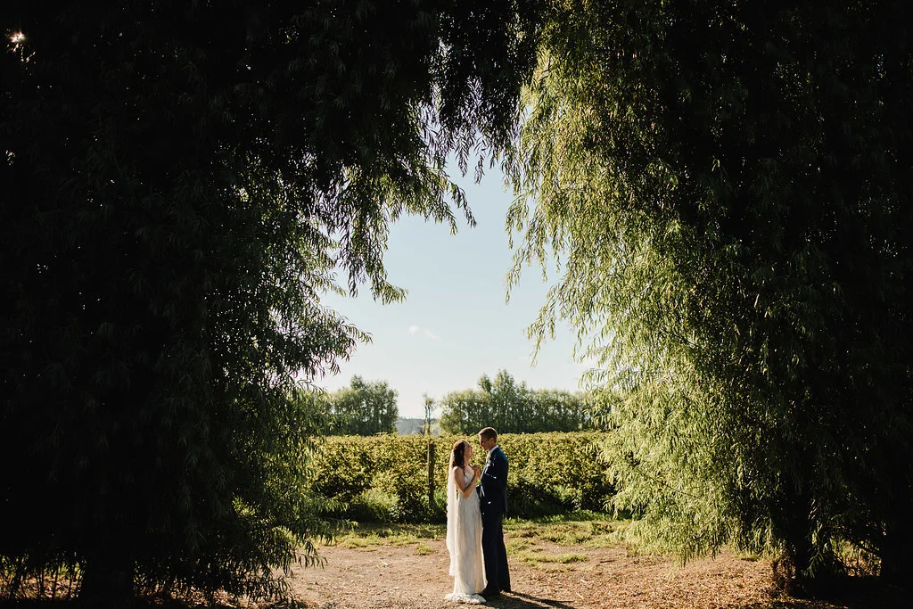 C&PWedding-720.jpg