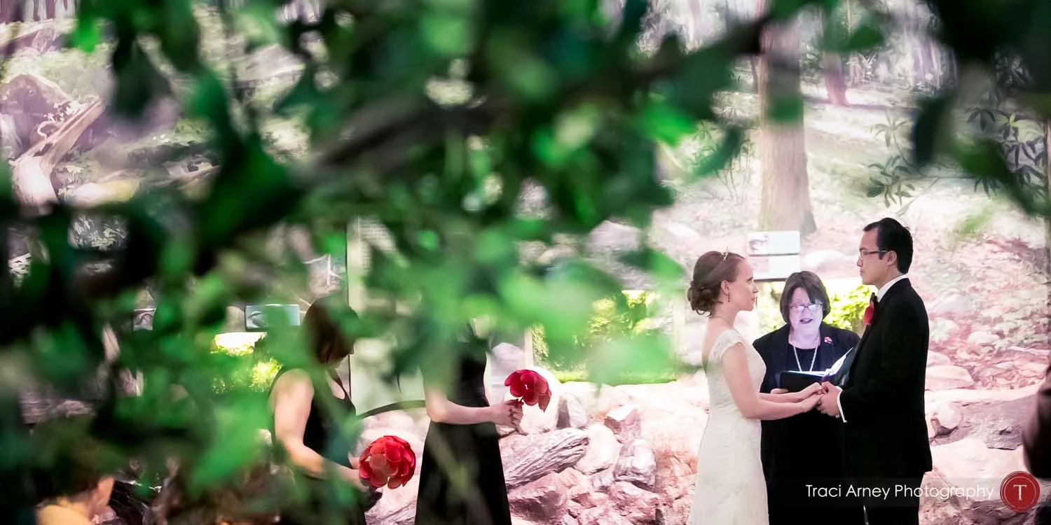 Amanda and David, looking fantastic at the Museum of Natural History in Raleigh NC. Image courtesy of Traci Arney Photography .