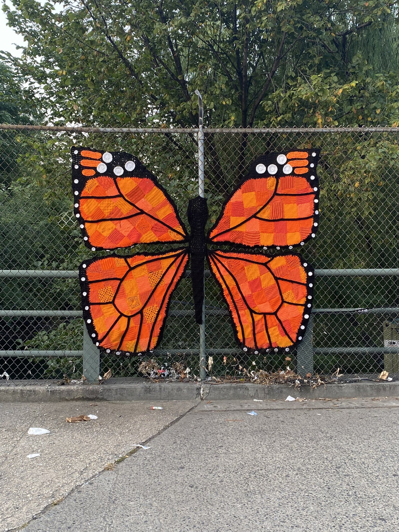 yarn butterfly.jpg