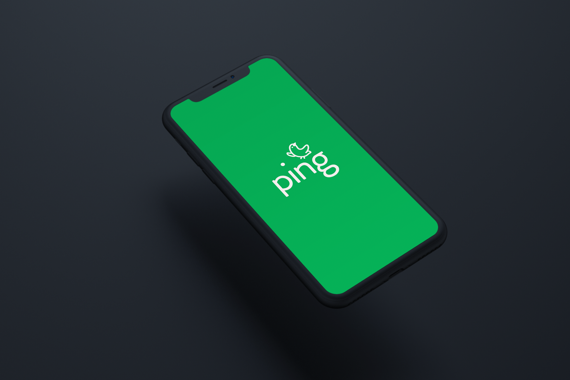 logoinphone.jpg