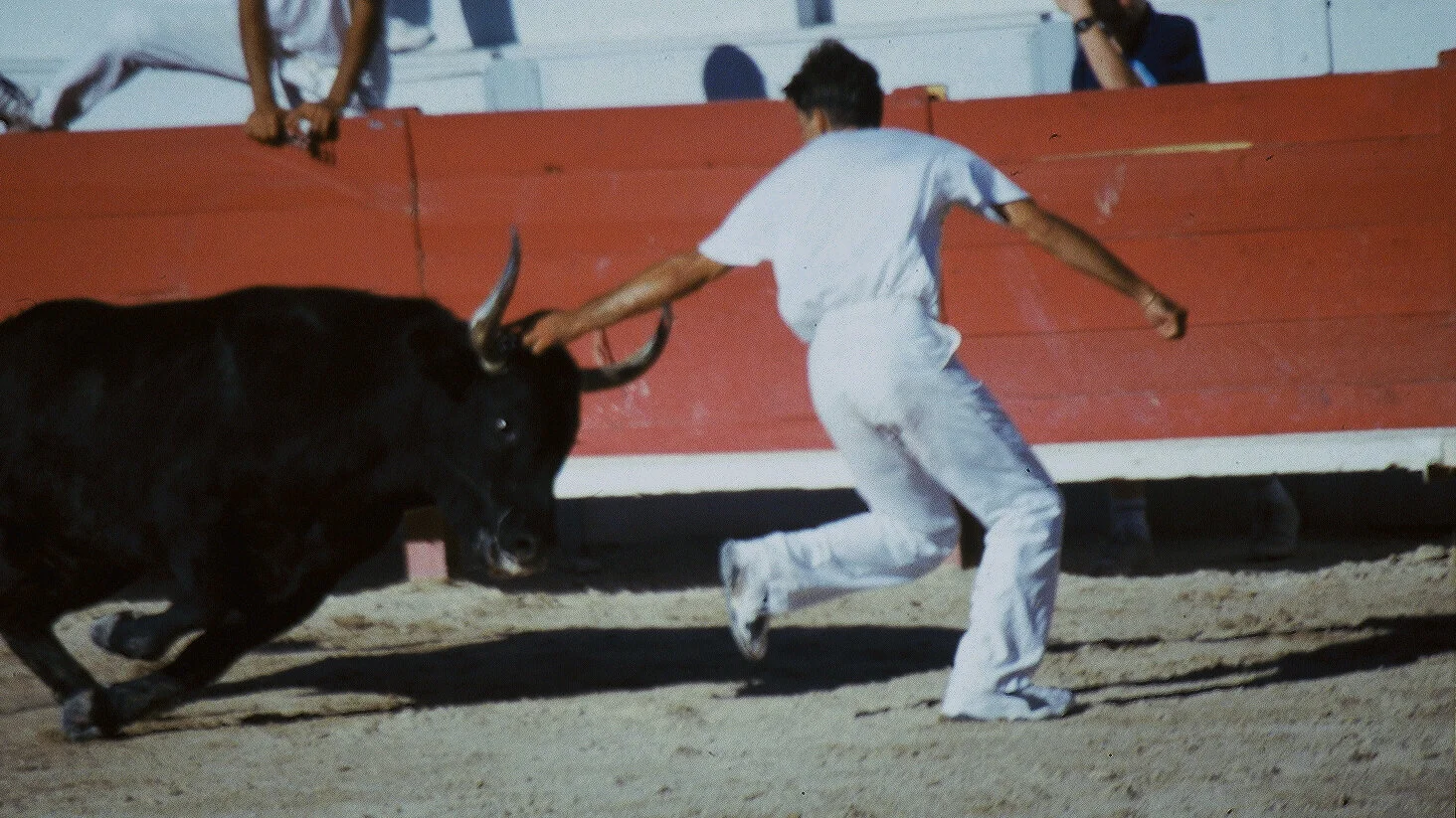 La Course Camarguaise.  2001.