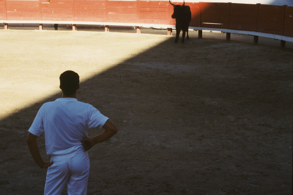 Bullfight 1.jpg