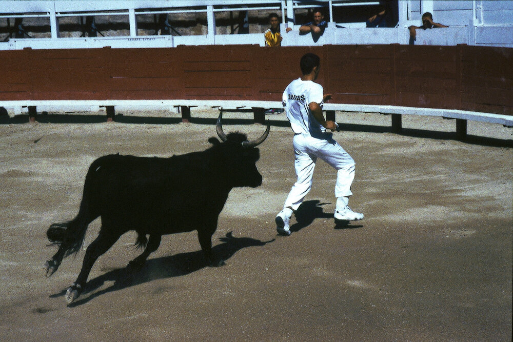 Bullfight 5.jpg