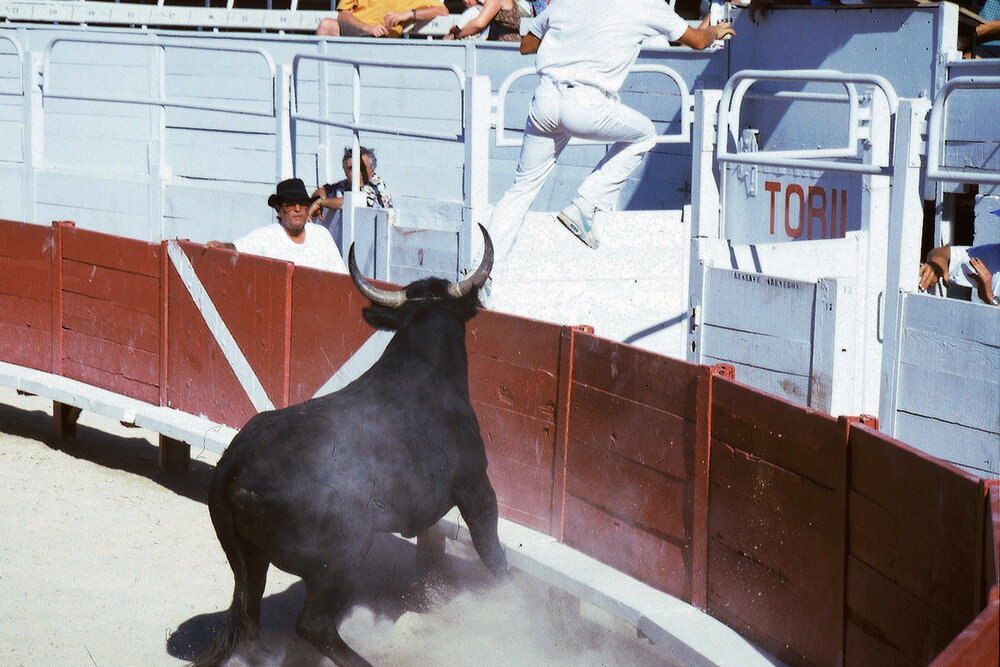 Bullfight 6.jpg