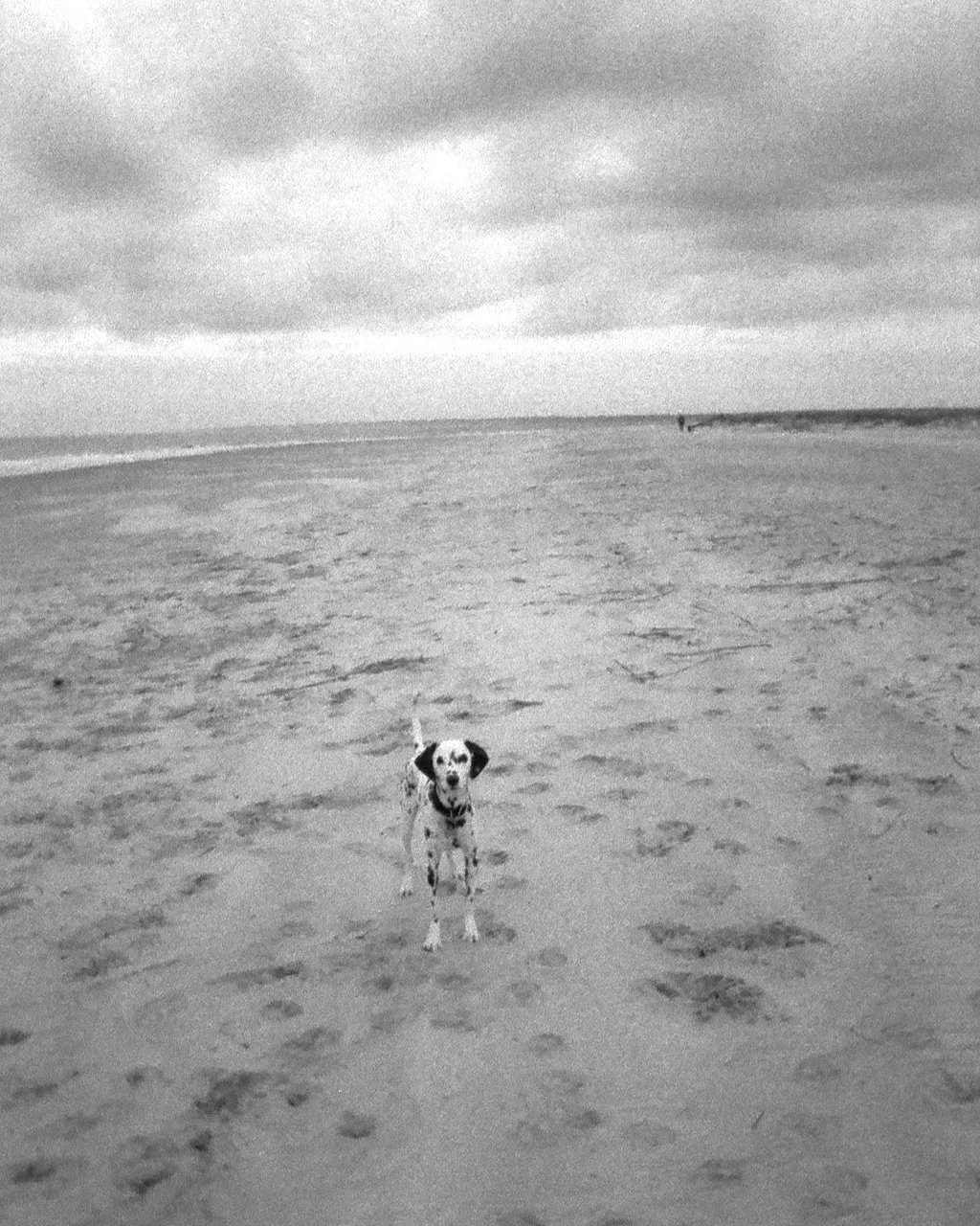 Grainy Day on Saint Simons Island, East Beach.  | Kodak Ektar H35 | Ilford HP5 400
