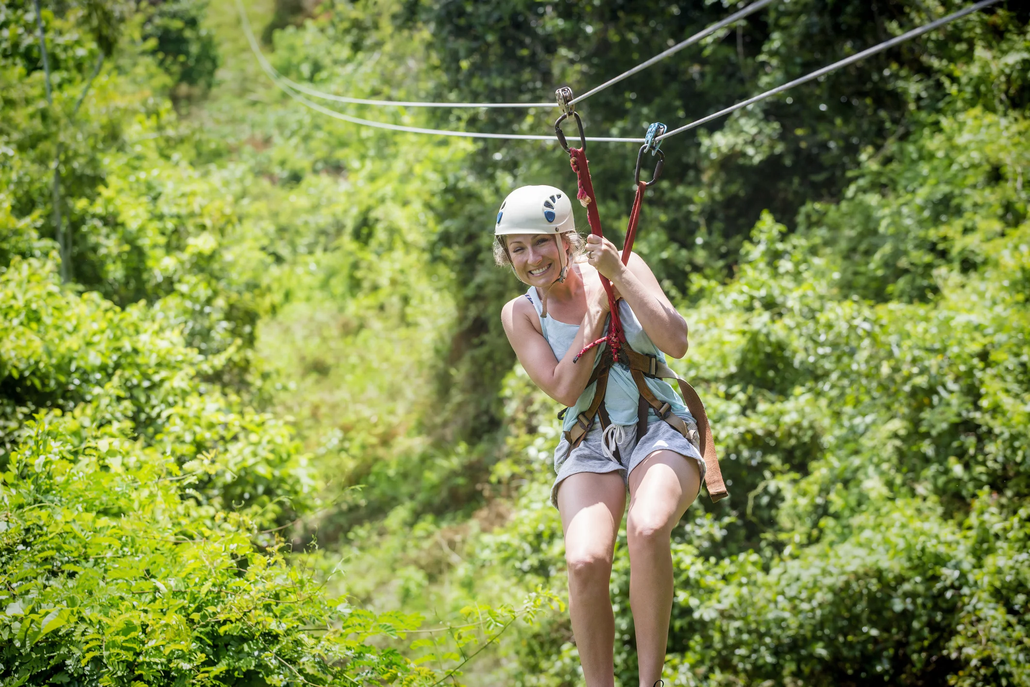 Zipline Adventure