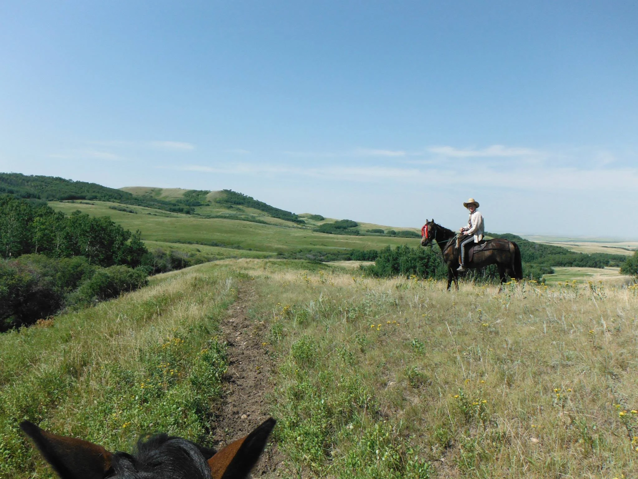 My Ma took this photo from the back of her horse during our camping trip, showing the beautiful Handhills and myself riding a horse named Meetro (yes he's wearing a doo-rag and I have track pants on lol).