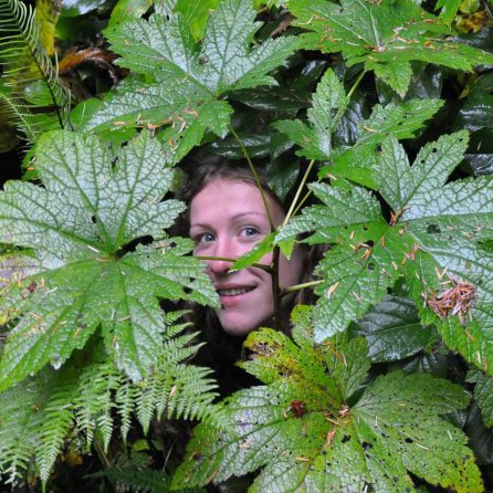 Exploring the forests of Vancouver Island.